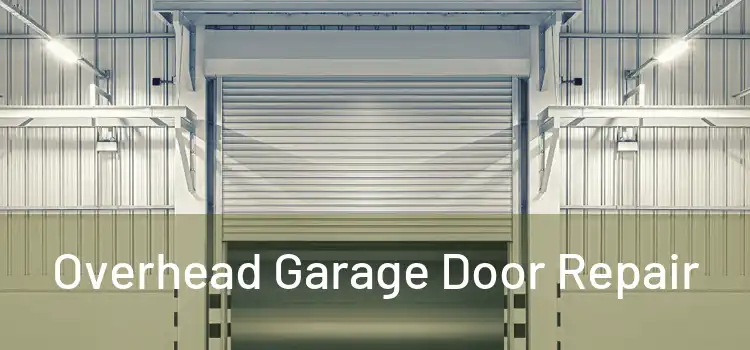  Overhead Garage Door Repair 